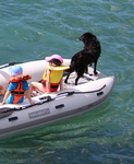 Takacat LiteX Katamaran-Schlauchboot mit Hund