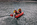 Falmouth Lifeboat - XEP-01 Takacat
